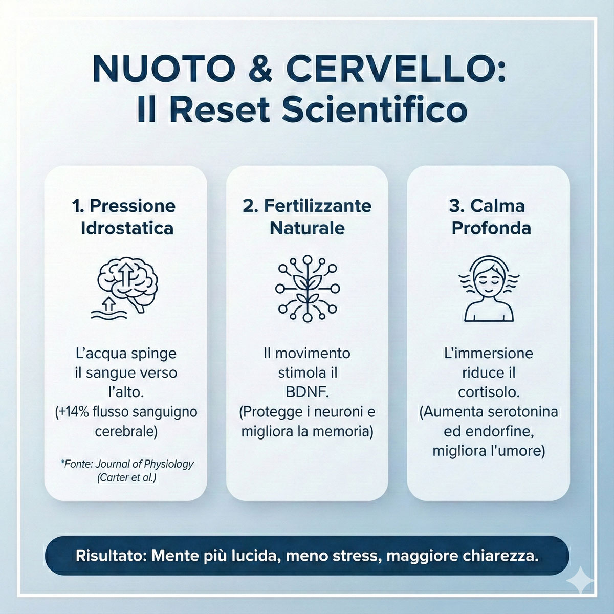Scopri come il nuoto rigenera il cervello. La neuroscienza spiega perché l’acqua aumenta il flusso sanguigno del 14% e riduce lo stress.